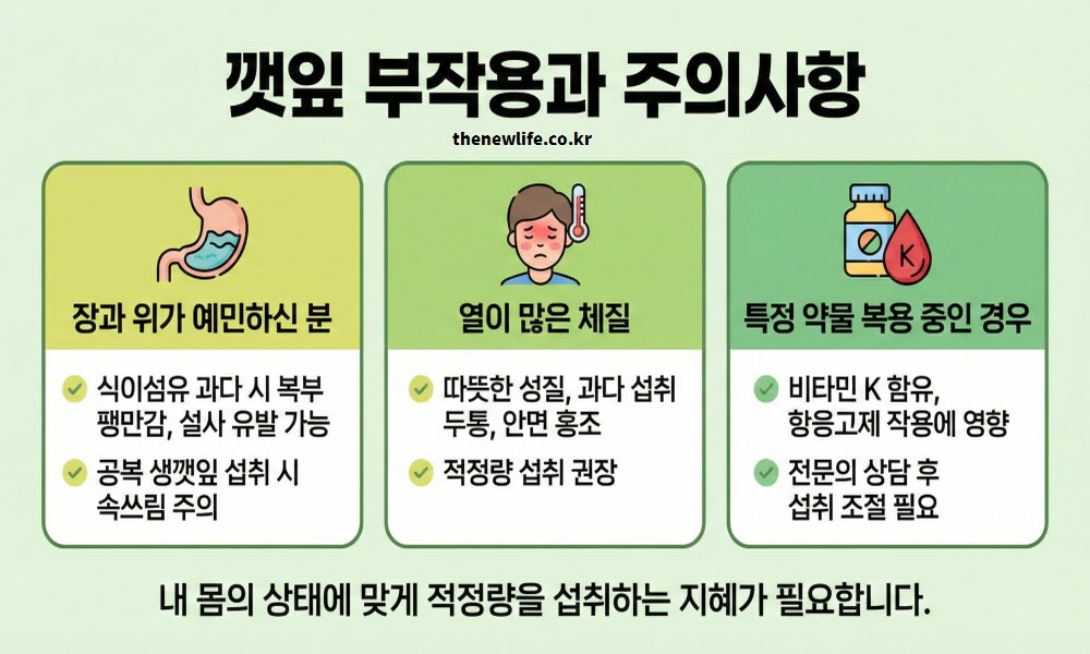 깻잎 부작용과 과다 섭취 시 주의해야 할 사항을 설명한 이미지