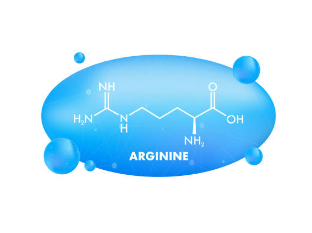 아르기닌 부작용, 아르기닌의 효능, 복용법 총정리 (2025ver)