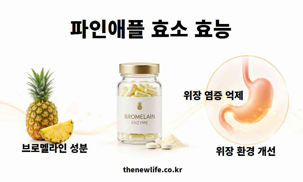 파인애플 효소 효능