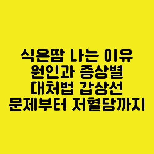 식은땀 나는 이유 원인과 증상별 대처법 갑상선 문제부터 저혈당까지