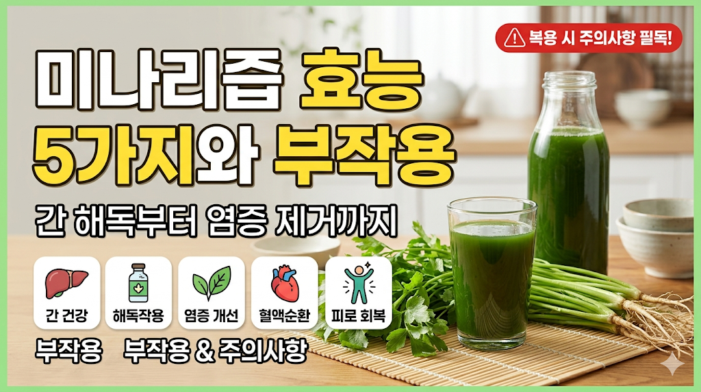 미나리즙 효능 5가지와 부작용: 간 해독부터 염증 제거까지 (복용 시 주의사항 필독)