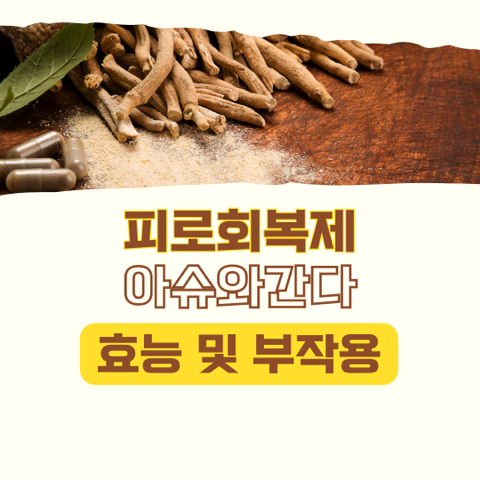 썸네일 이미지 입니다.