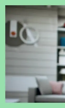 중년 다이어트 식단
