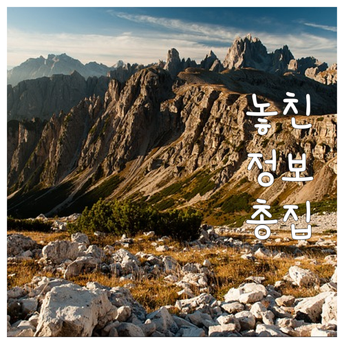 자동차 재검사, 기간 놓치면 손해 보..