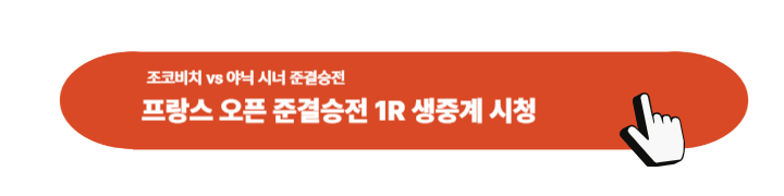 조코비치 프랑스오픈 준결승 중계