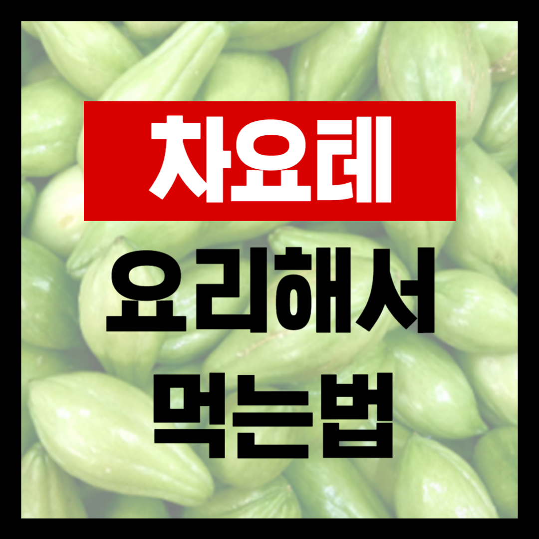 차요태 짱아찌 차요테 샐러드 요리 활용법 레시피