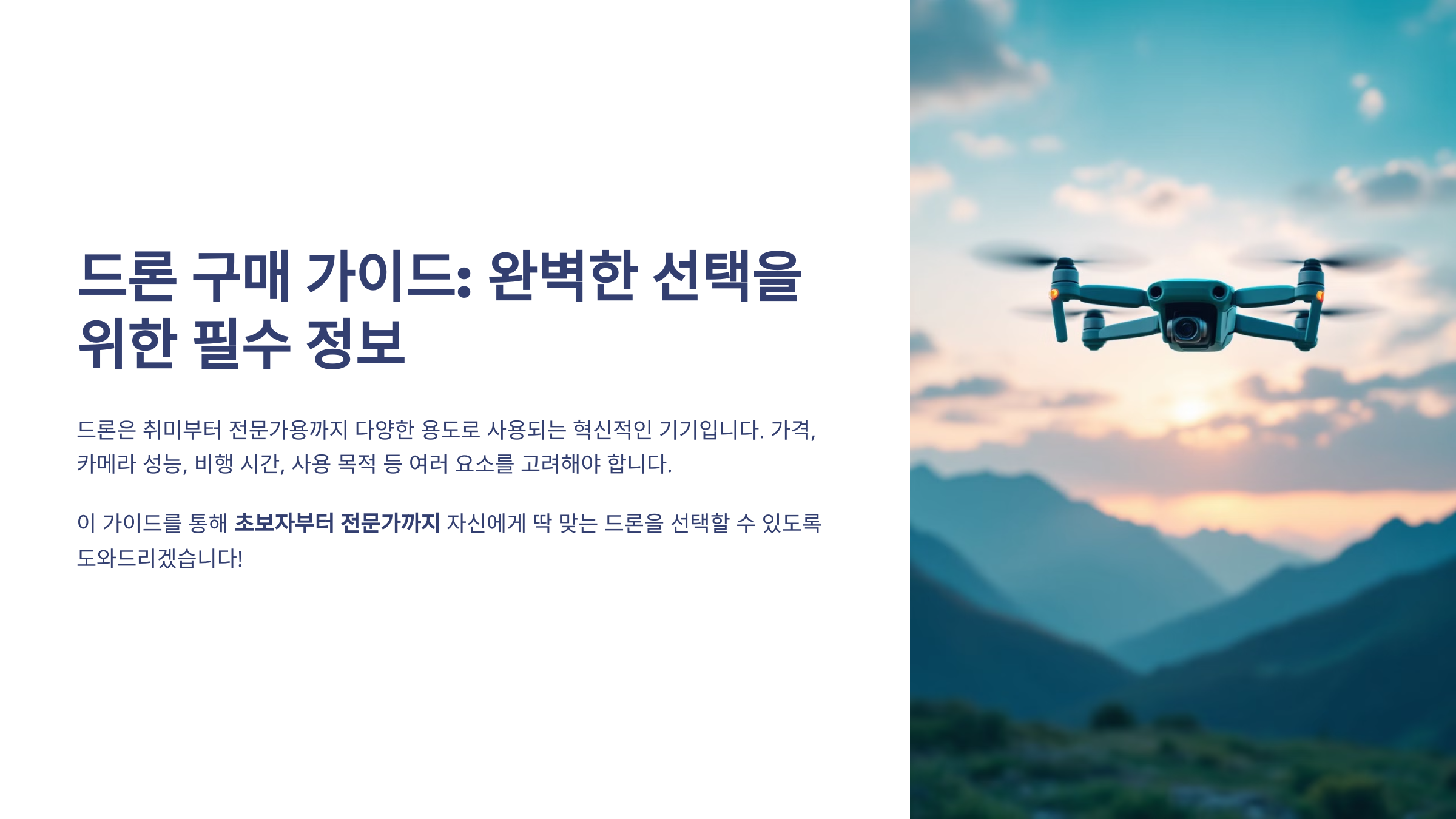 드론 구매 가이드