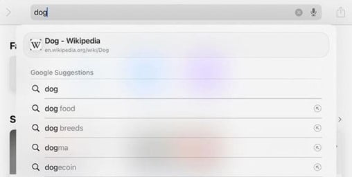 미국 현지에서 네이버로 강아지를 검색했을 때 연관 키워드.