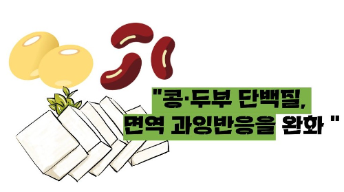 루푸스병에 좋은 음식