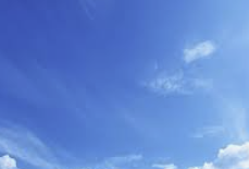 ENTP 유형 특징 분석