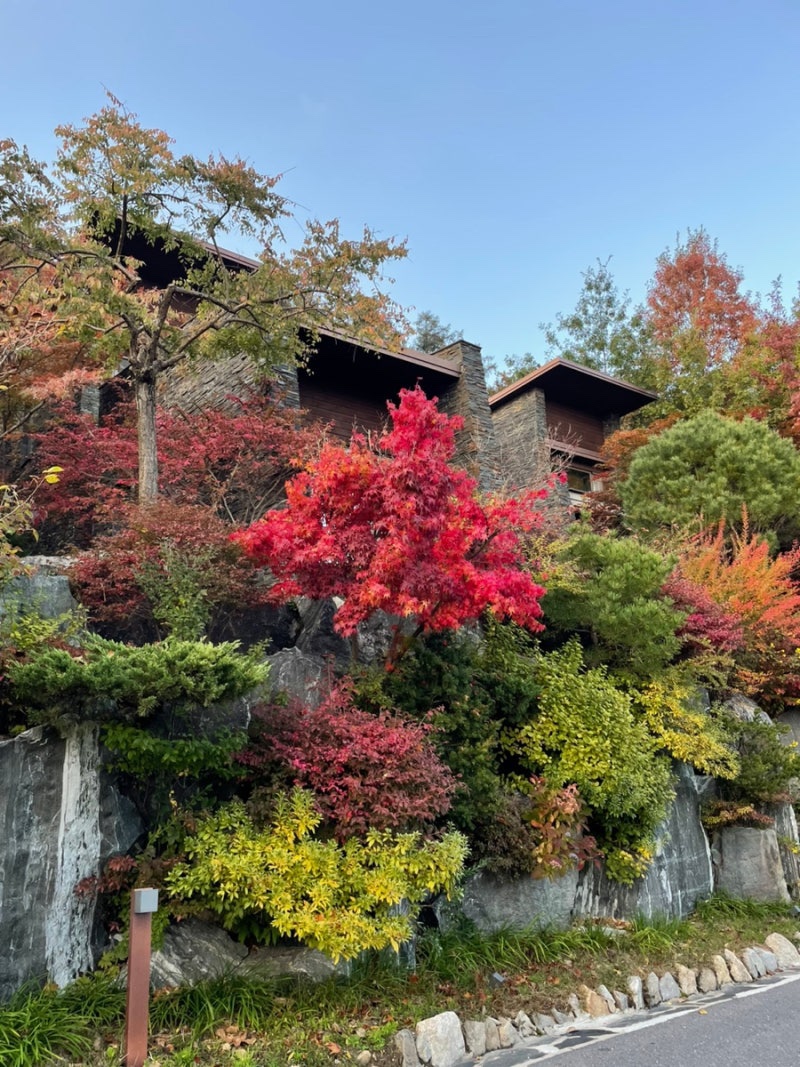 아름다운-경치와-단풍뷰가-있는-포레스트리솜,-레스트리-객실-추천-제천-리솜포레스트-리조트