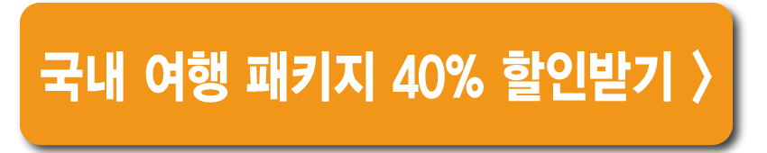국내여행패키지