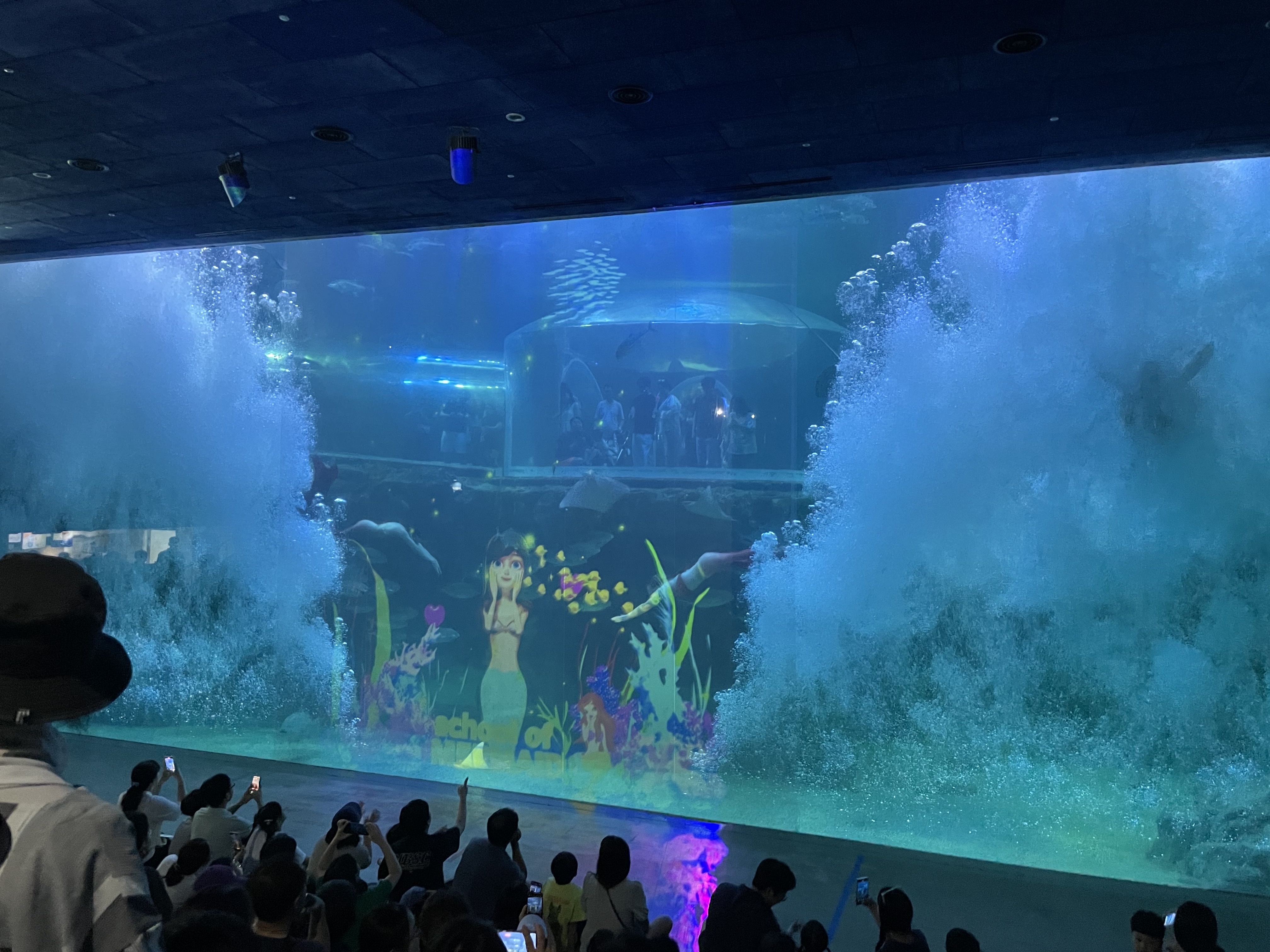 여수 아쿠아플라넷