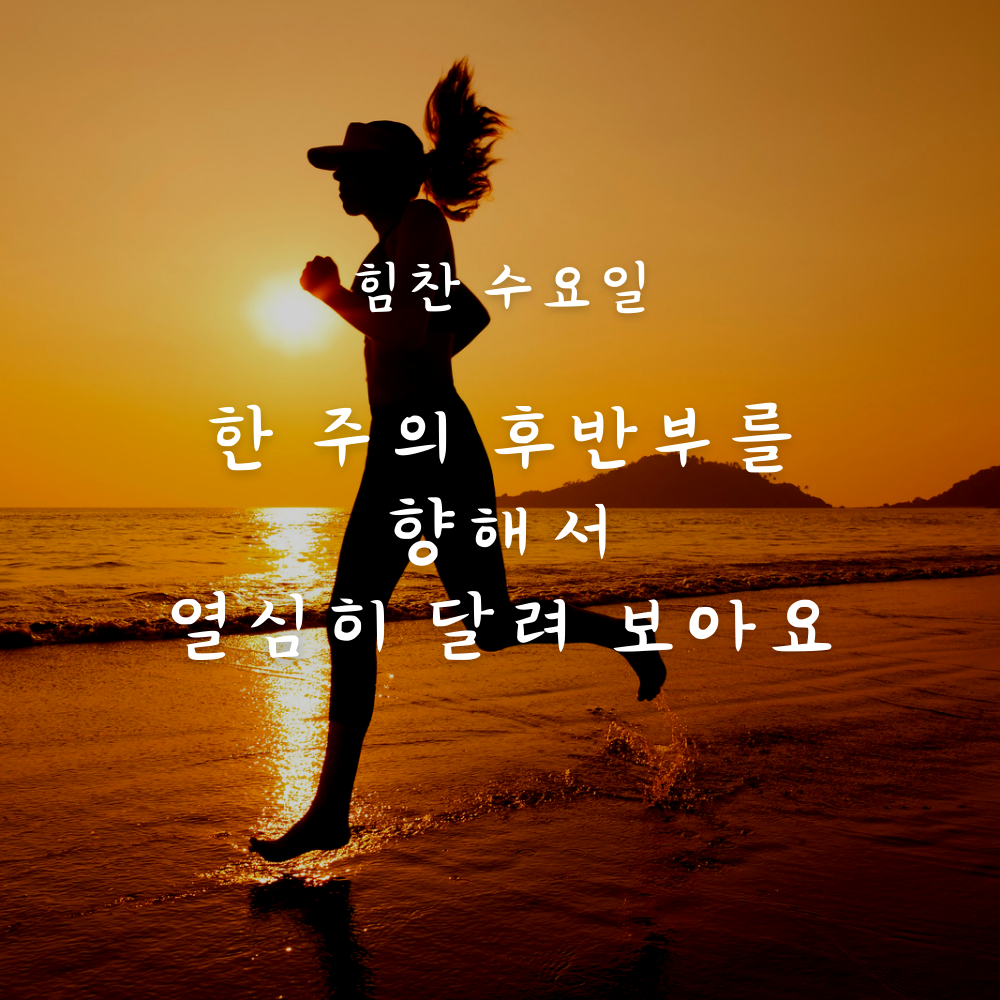 수요일 아침 인사말 문구 이미지 모음