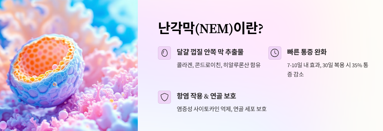 난각막(NEM)이란?