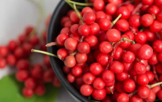 콜레스테롤 수치를 낮추는 데 도움이 되는 오미자차