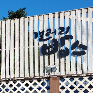 갤러리밥스