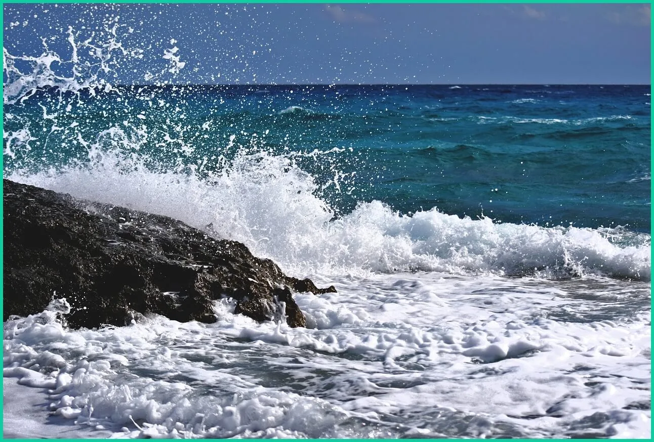 신한은행 예금금리