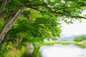 조용한 국내 1박2일 여행지 숨겨진 명소 10선_9