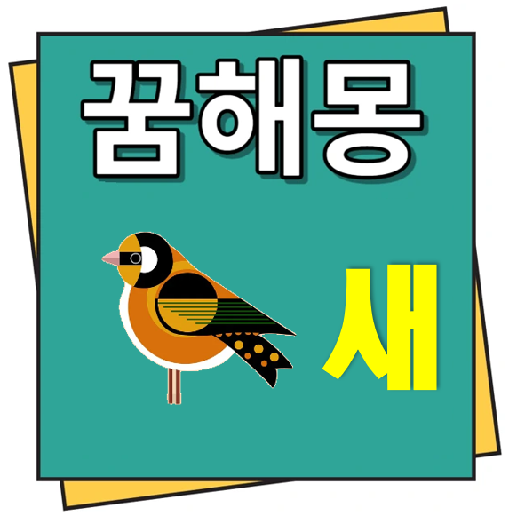 새 꿈해몽