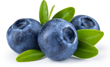 블루베리