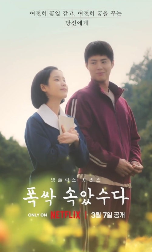 폭싹 속았수다 포스터
