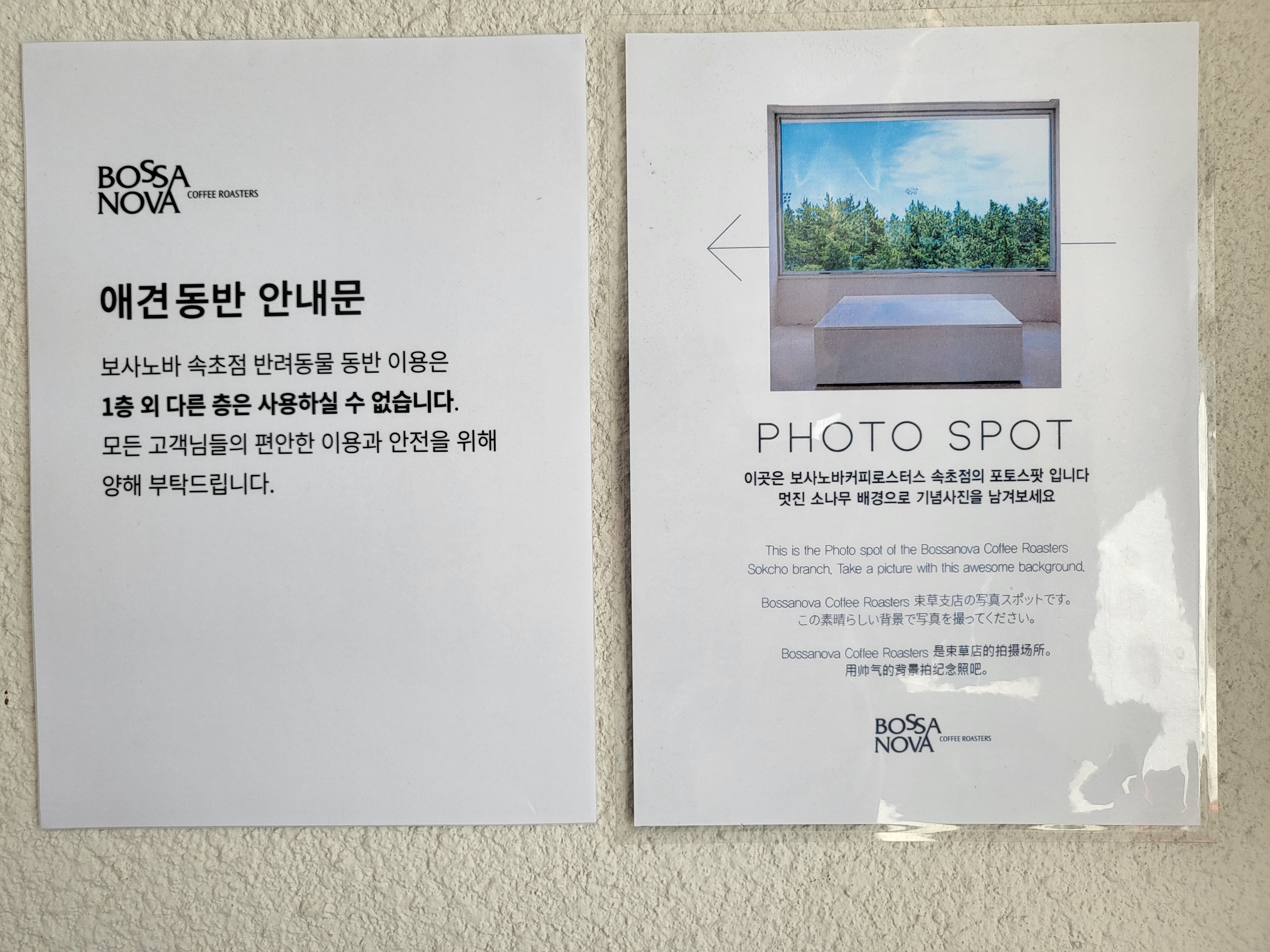 보사노바 - 애견안내문