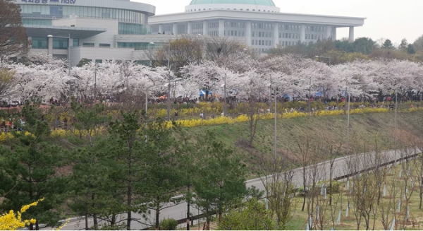 봄꽃 여행지