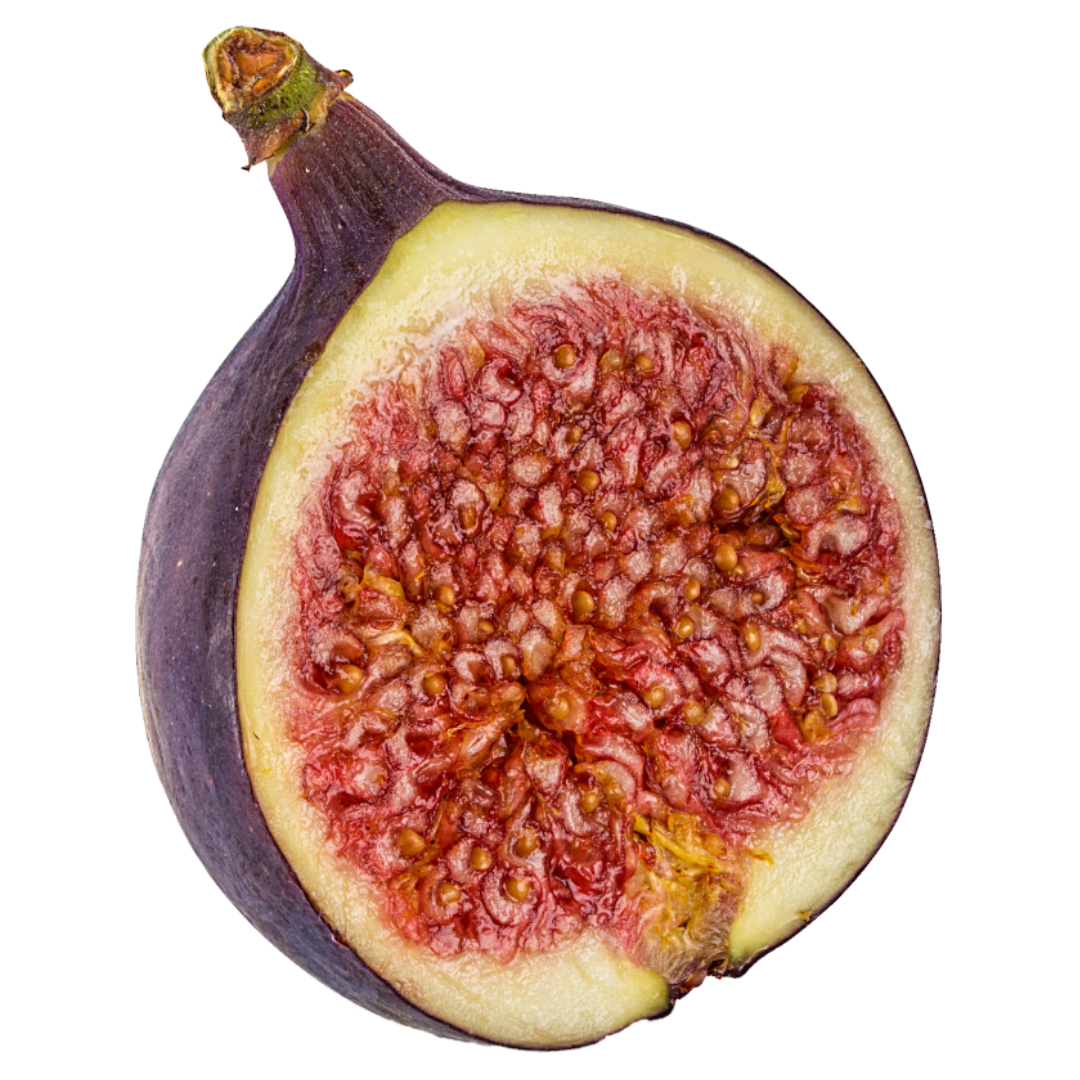 무화과와 관련된 사진입니다.