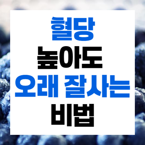 당뇨 관리 방법