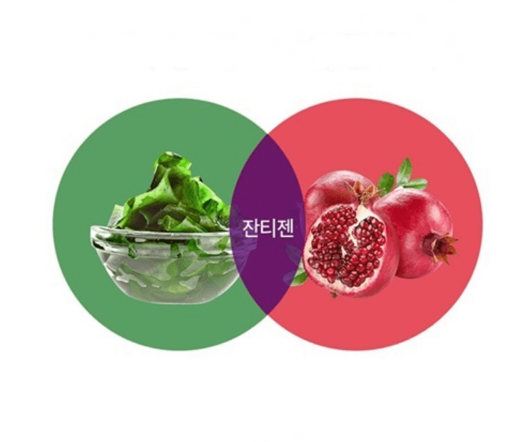 잔티젠-후코잔틴-푸닉산-사진