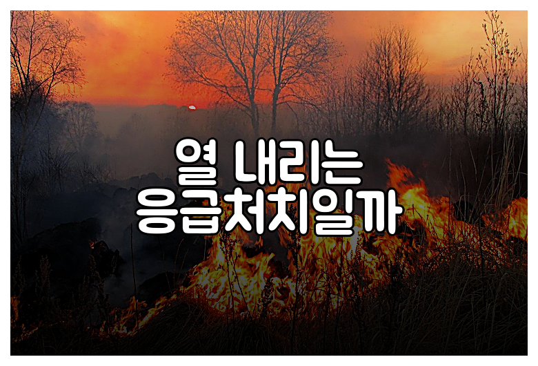 열 내리는 응급처치일까