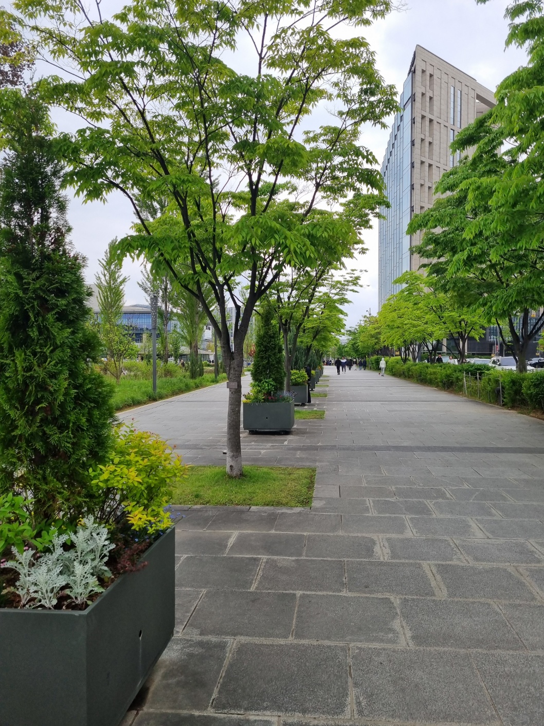 서울식물원 가는길