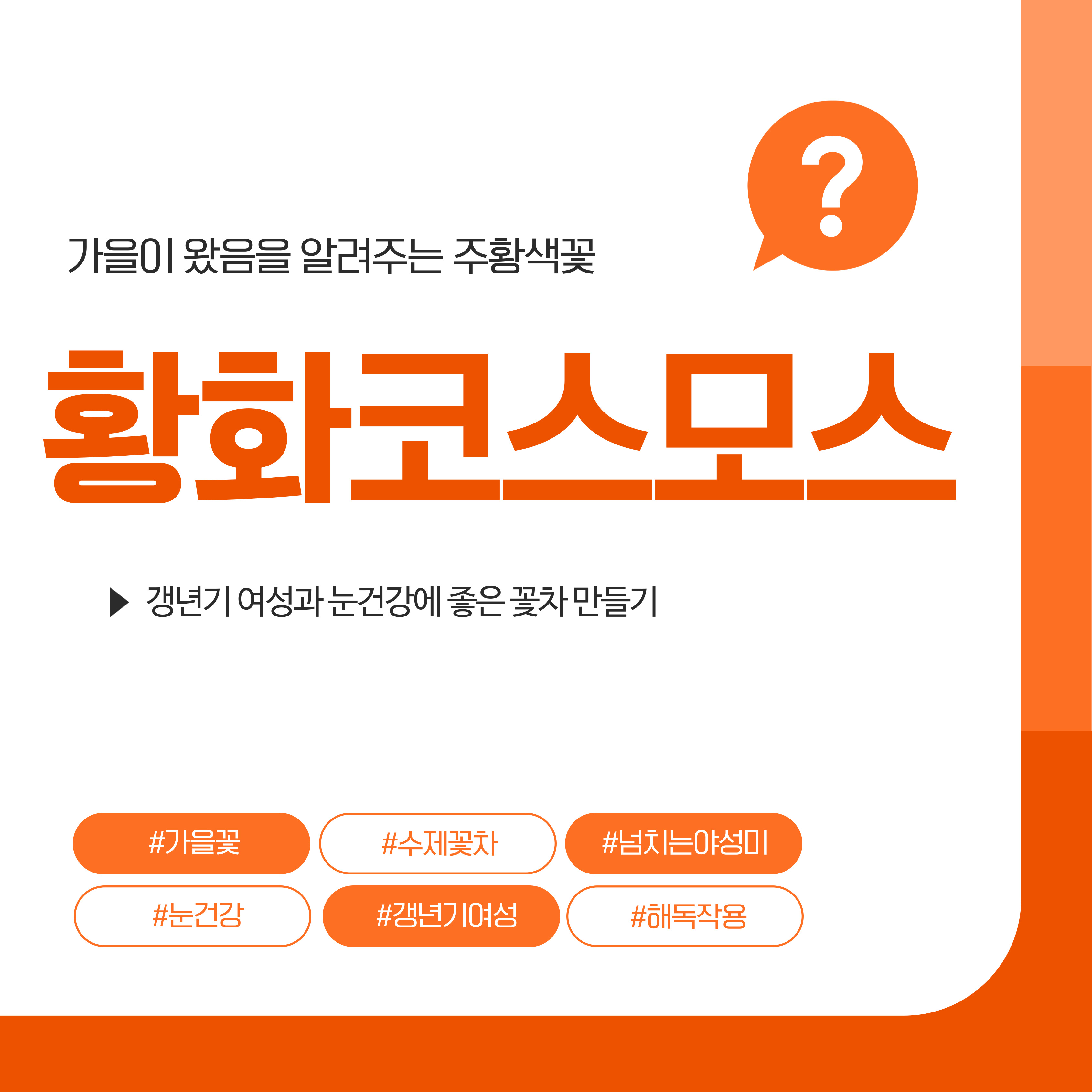 눈에 좋은 황화코스모스꽃차만들기