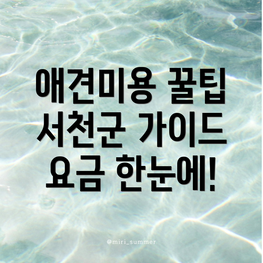 애견미용