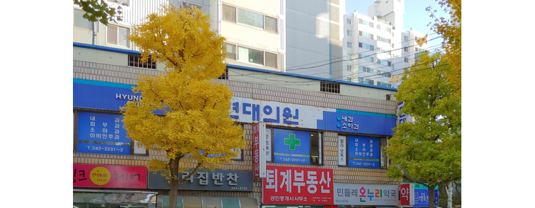 홍천군 불면증
