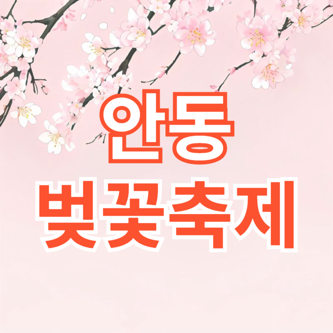 안동벚꽃축제