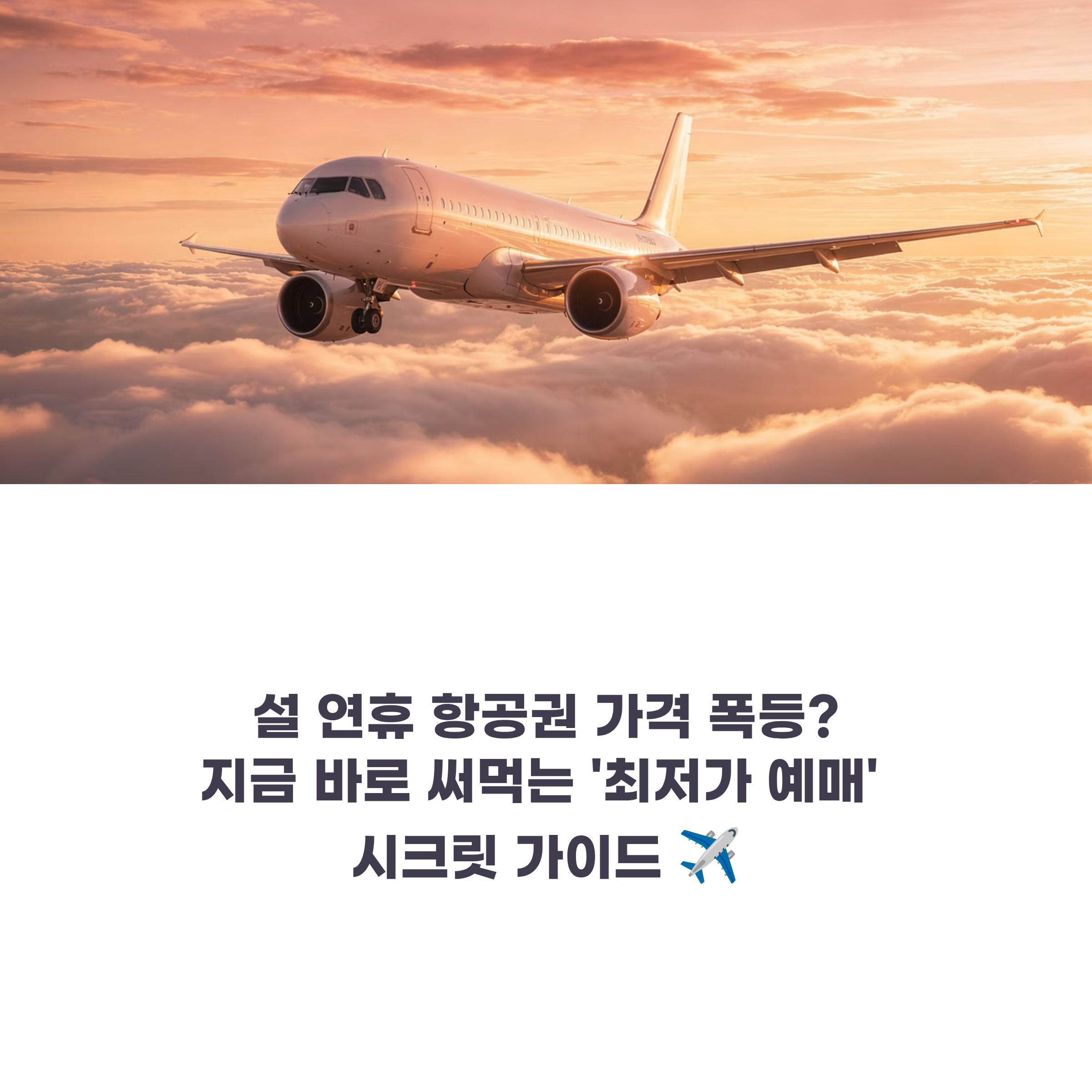 설 연휴 항공권 가격 폭등? 지금 바로 써먹는 '최저가 예매' 시크릿 가이드 ✈️