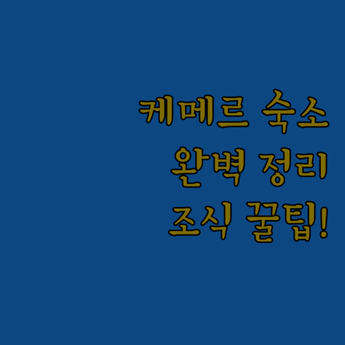 튀르키예 케메르 시내 접근성 좋은 추..