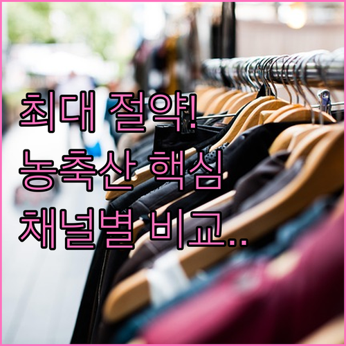 채널별 할인 방식 분석 2025 추석..