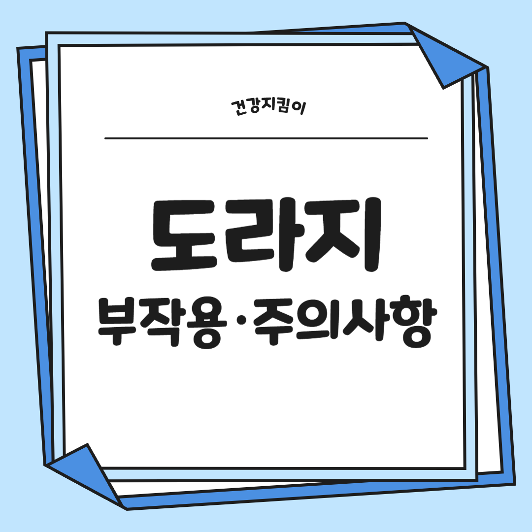 도라지 효능 부작용 고르는법 먹는법 꽃 총정리