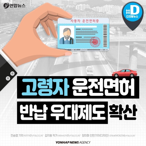 고령운전자 사고 위험도...면허 자진반납 제도 문제점