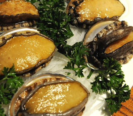 제주 바다의 대표적인 고급 해산물 전복