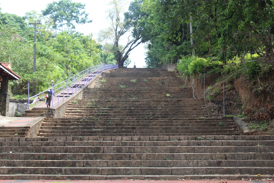 Steps