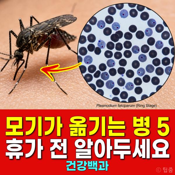 모기가 옮기는 병