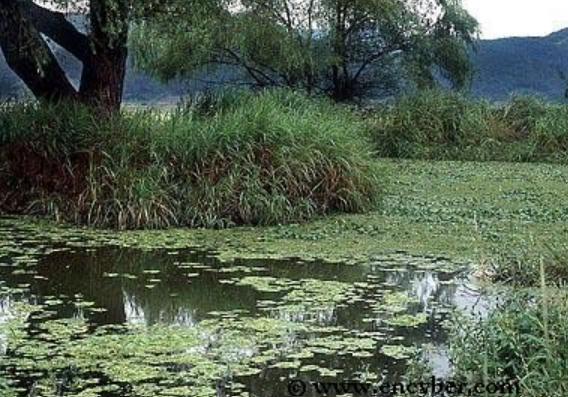 &amp;lt; 생방송투데이 보고 먹고 즐기다 3GO 여행 창녕&amp;#44; 청도편 &amp;gt;