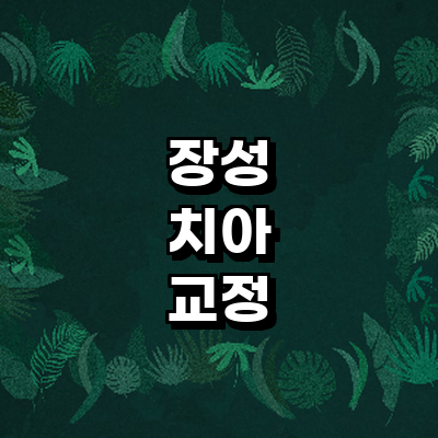 장성군 교정 치과