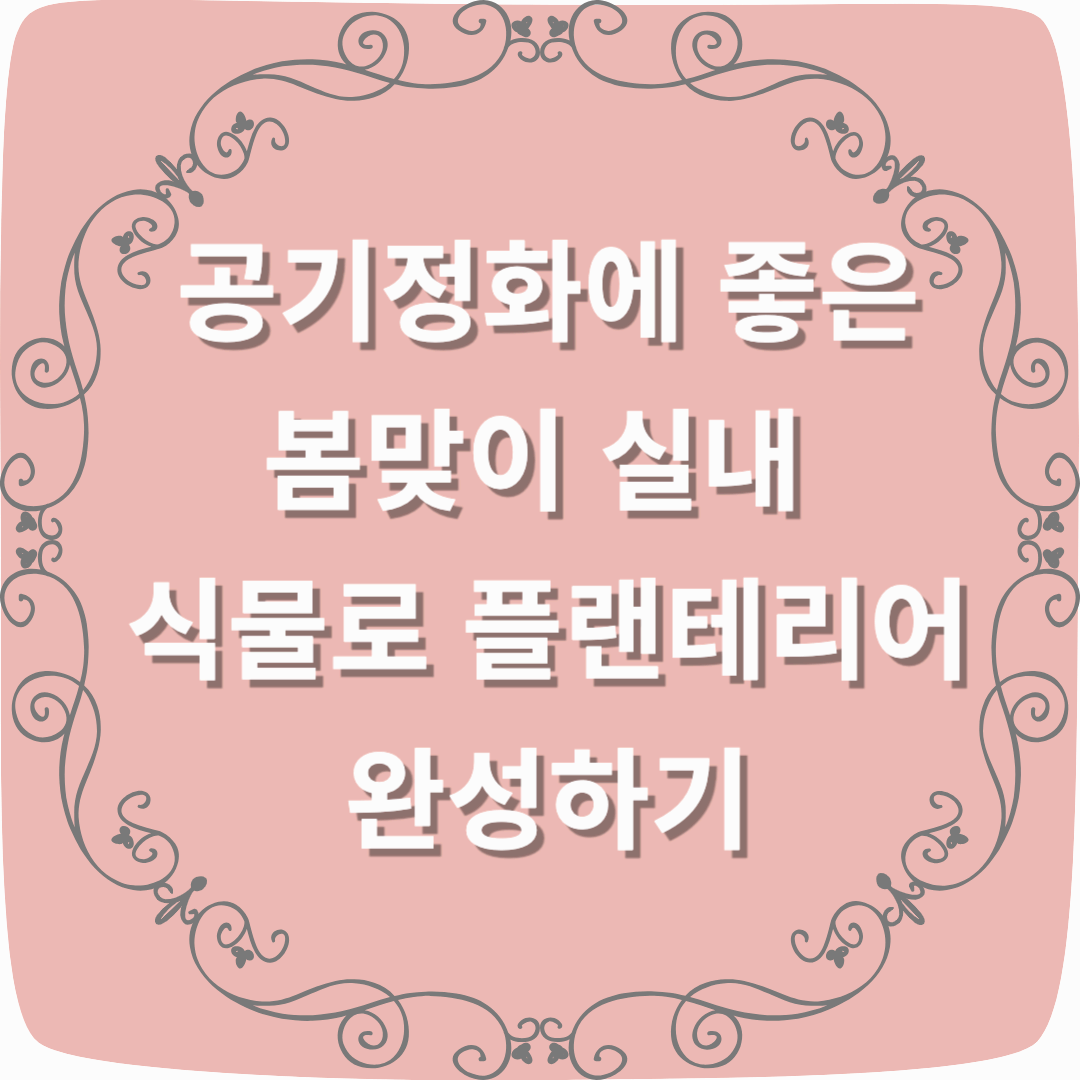 공기정화에 좋은 봄맞이 실내 식물로 플랜테리어 완성하기