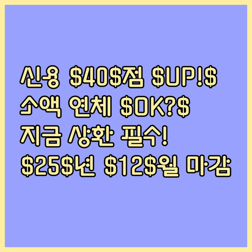 신용평점 평균 $40$점 상승 기회,..