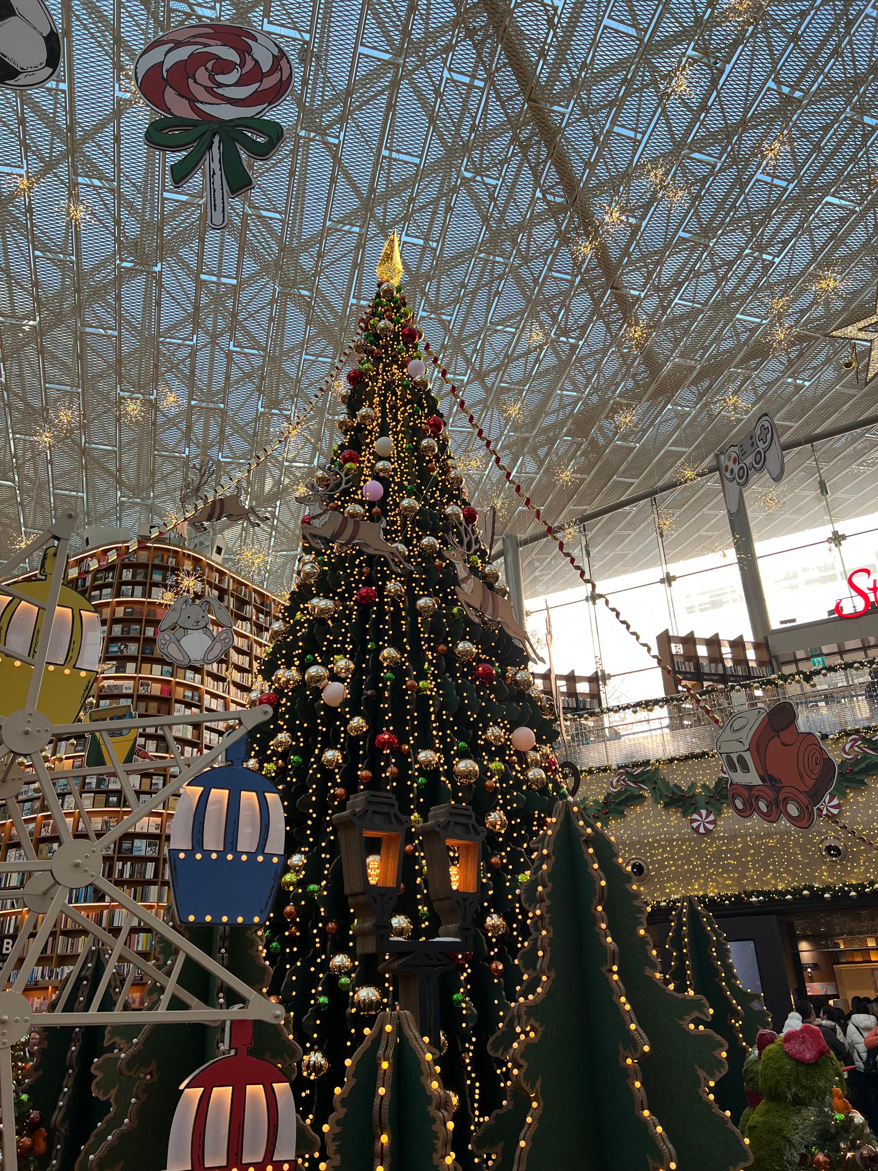 별마당도서관 크리스마스 트리 전신샷